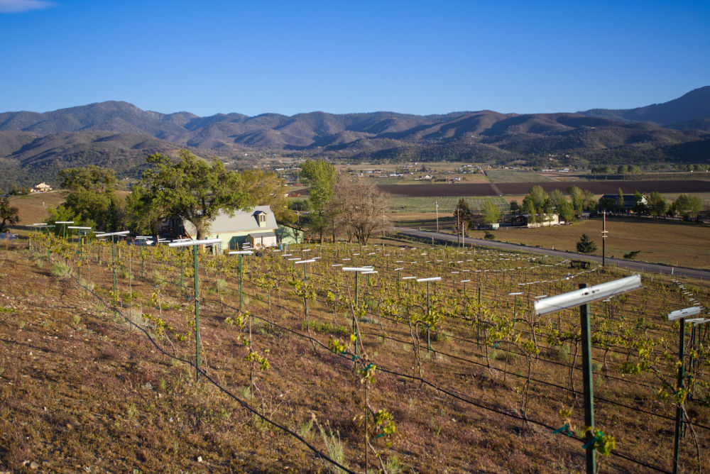 View of Brite Valley from Los Viajeros Vineyard